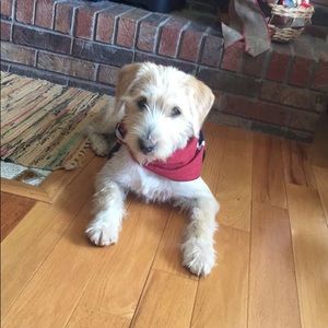 Meet your Posher, Nicholas